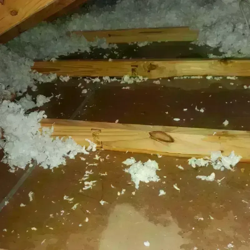 Attic Water Damage in George County, MS