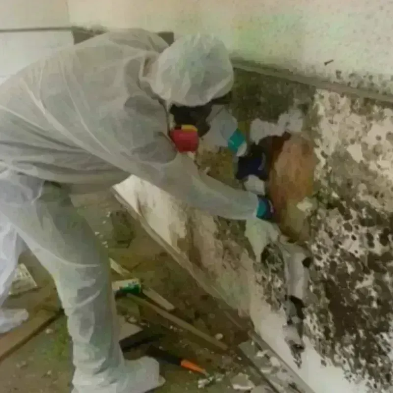 Mold Remediation and Removal in George County, MS