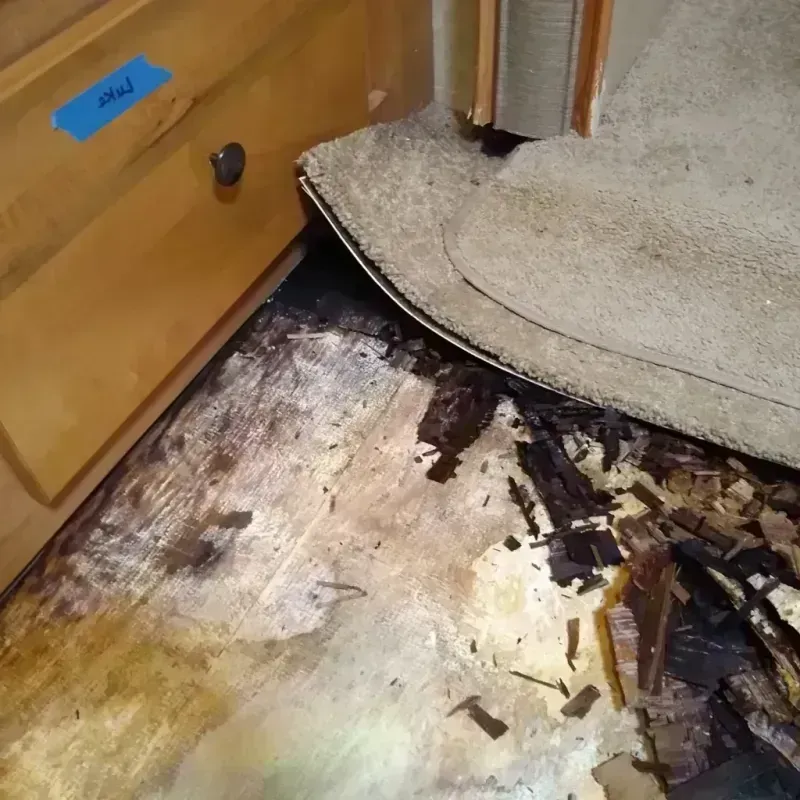 Wood Floor Water Damage in George County, MS